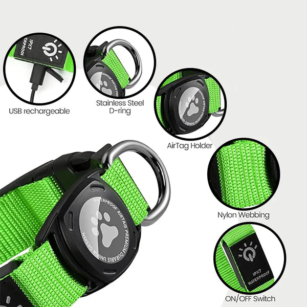 InSight™ Pet Collar